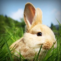 /album/itapetinga-ba/photolia-a03-jpg/