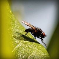 /album/itapetinga-ba/photolia-a04-jpg/