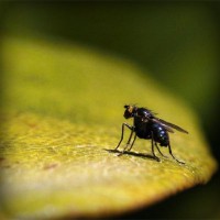 /album/itapetinga-ba/photolia-a07-jpg/