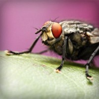 /album/itapetinga-ba/photolia-a08-jpg/